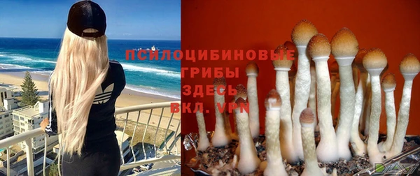 метадон Медвежьегорск