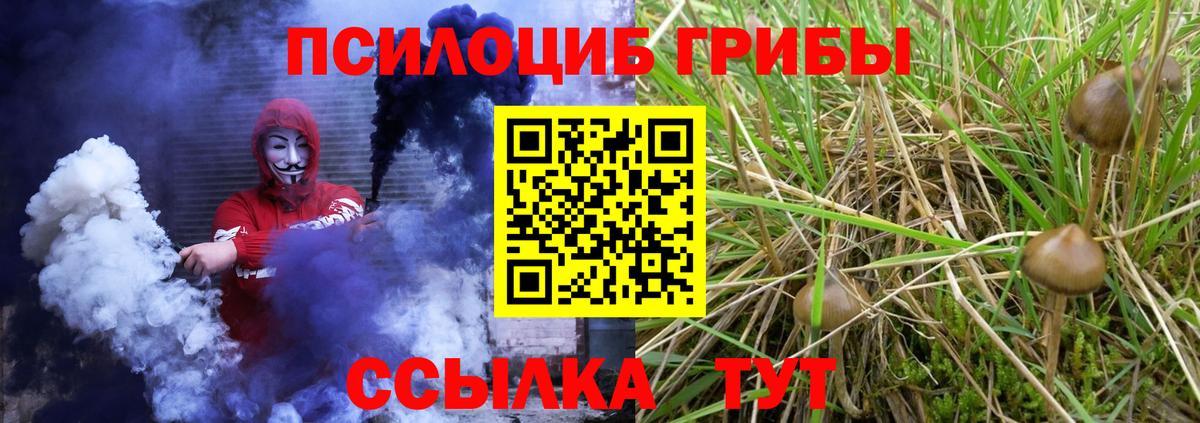 Галлюциногенные грибы мицелий Наро-Фоминск